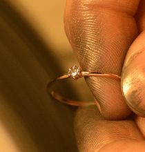 Charger l'image dans la galerie, second
